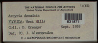 Image Associated With the Occurence
